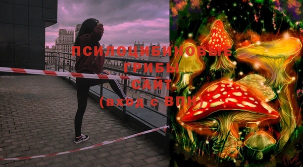стаф Няндома