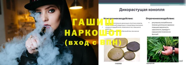 стаф Няндома