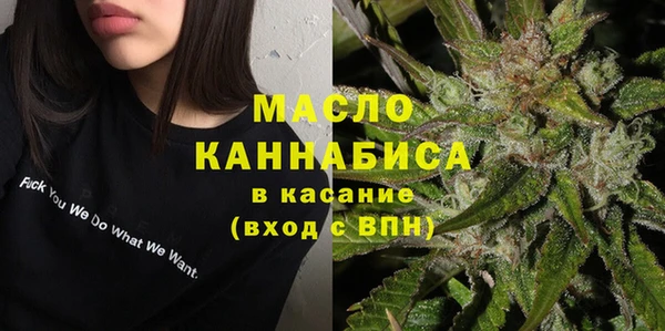 стаф Няндома