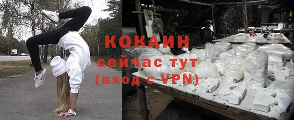 винт Осинники