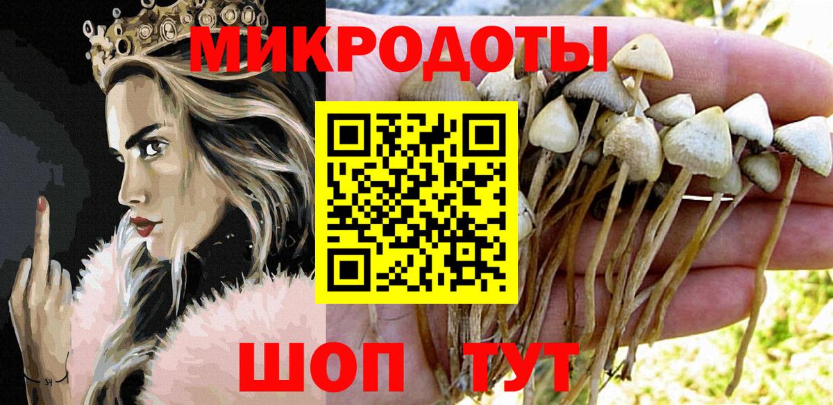 Борзя  Галлюциногенные грибы прущие грибы  Псилоцибиновые грибы GOLDEN TEACHER  Вход с VPN 