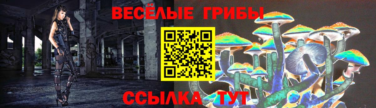 Псилоцибиновые грибы Psilocybe Борзя