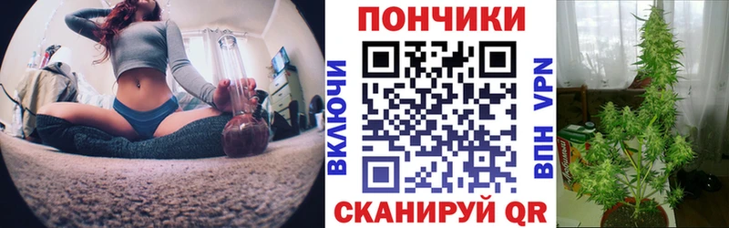 МАРИХУАНА план  Борзя 